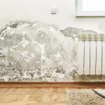 5 Reasons to Hire Professional Water Damage Cleanup Services