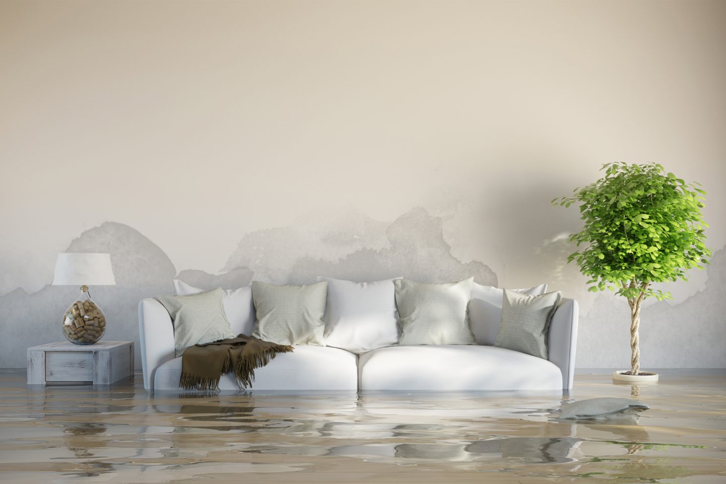 The Most Common Water Damage Restoration Mistakes To Avoid