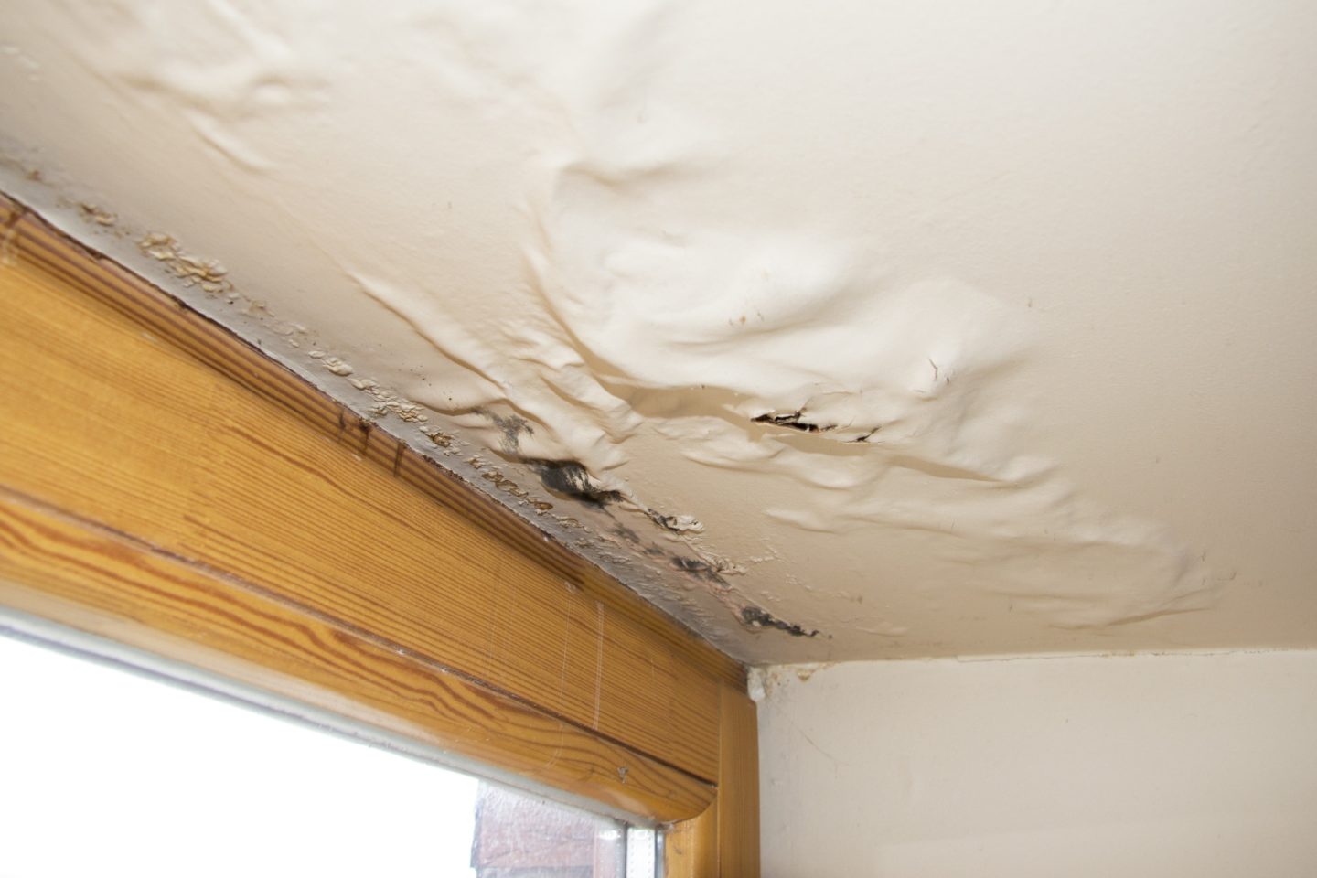 5 Signs That You May Have Water Damage