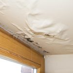 5 Signs That You May Have Water Damage