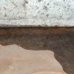 5 Ways to Prevent Mold in Your Home